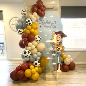 Toy Story Round Up STANDARD COLOURS Package