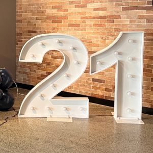 21 Light Up Numbers